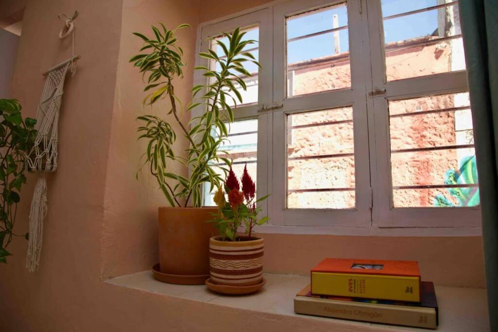 Great Location ! 4 Bedroom Home In The Heart Of Cartagena 외부 사진